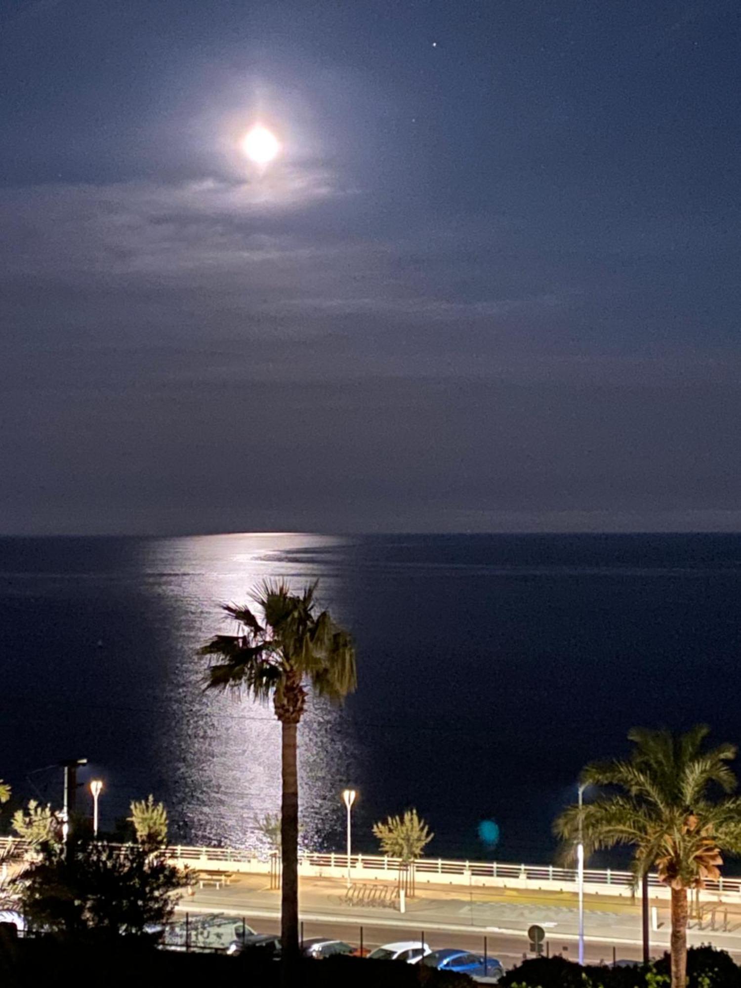Bord De Mer, Terrasse, Tout A Pieds Канны Экстерьер фото